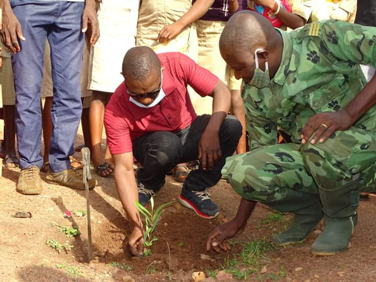 JOURNÉE NATIONALE DE L&rsquo;ARBRE À BEMBEREKE : 120 plants mis en terre