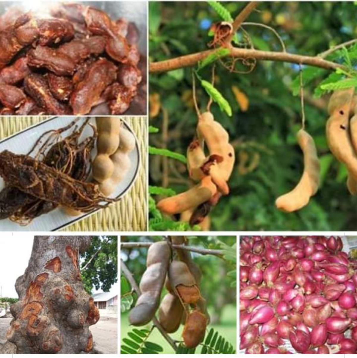 SANTE : Voici un remède naturel contre les maris et femmes de nuit