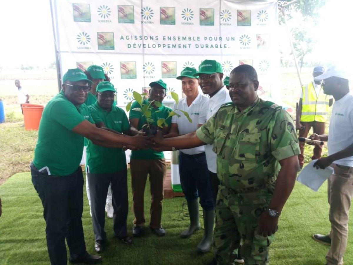 EN CAMPAGNE DE REBOISEMENT A PARAKOU ET TCHAOUROU : La Sobébra, une meilleure entreprise éco-citoyenne au Bénin