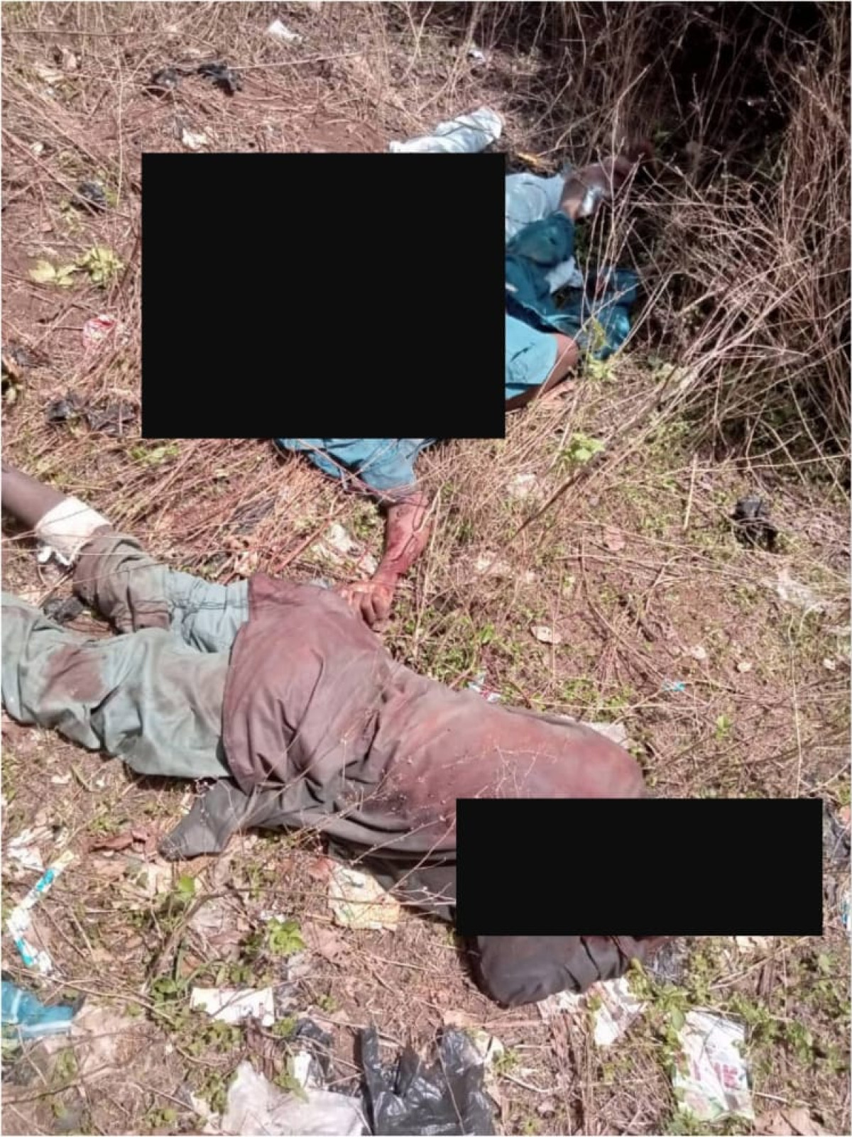 AFFRONTEMENT ENTRE ÉLEVEURS ET AGRICULTEURS À TCHAOUROU :  Les dernières informations