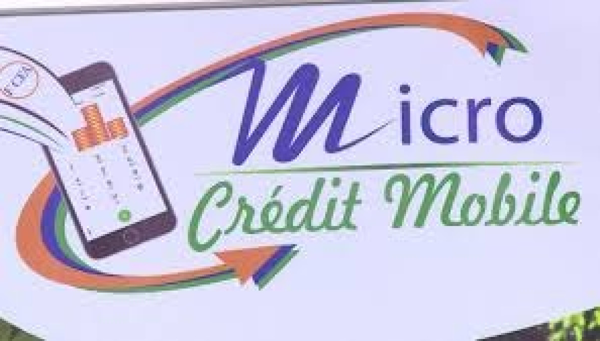 EDITO : Quel microcrédit?