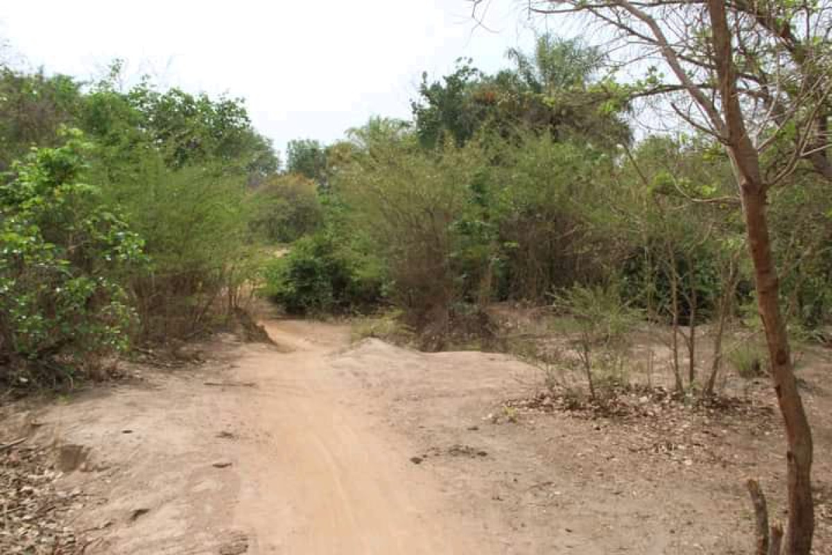 ÉCROULEMENT DU PONT DU FLEUVE OKPARA À BONROU : Les populations de Pèrèrè ont le dos au mur