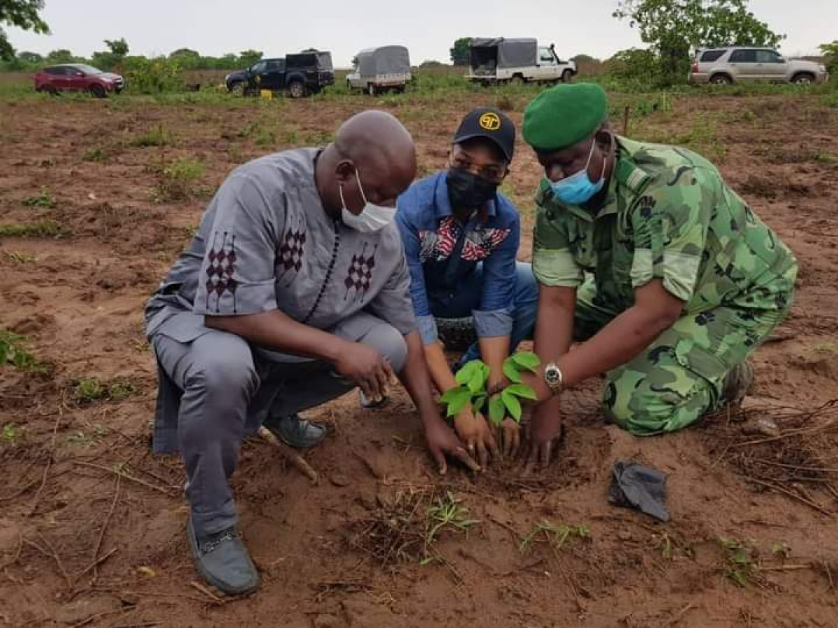 37E JOURNEE NATIONALE DE L&rsquo;ARBRE DANS LE BORGOU : Le préfet Cissé a sacrifié à la tradition . 1 055 de plants mis en terre
