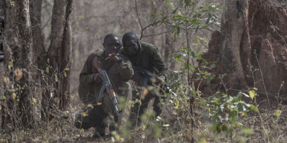 LUTTE CONTRE LE TERRORISME : Deux Iani neutralisés par l’armée à Karimama