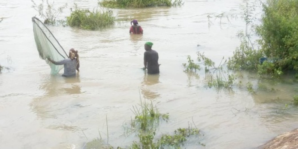 BÉNIN/AVANT L’INSTALLATION DE LA SAISON DES PLUIES : L’Alibori a déjà enregistré 11 morts par noyade . Les autorités appelées à se réveiller tôt pour la veille