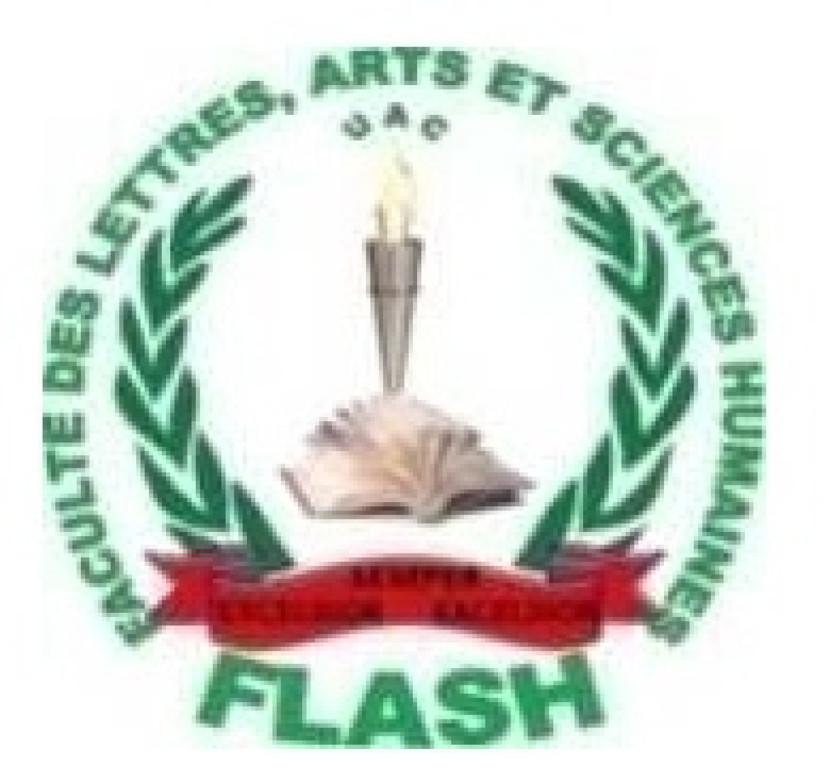 POUR SA CONTRIBUTION À LA SCIENCE ET À L&rsquo;ÉDUCATION DES JEUNES : Le professeur John Ogunshola Igue célébré le 28 prochain à l&rsquo;Uac