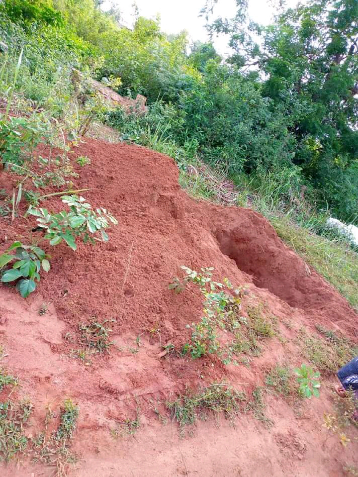 CIMETIERE D&rsquo;AFFAME : Une tombe profanée