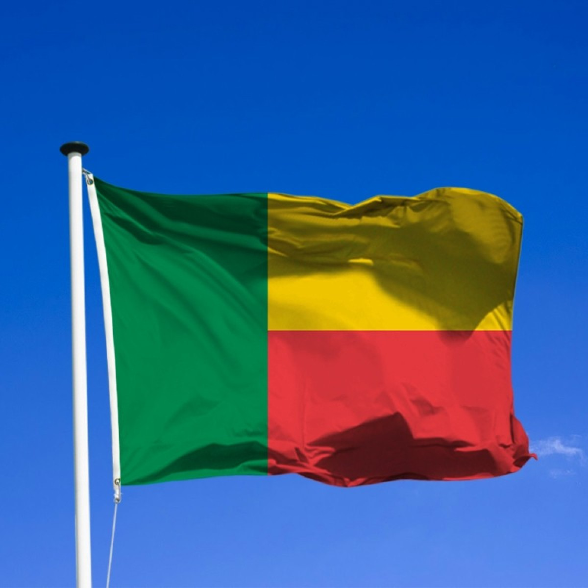 UNIVERS DES ATTRIBUTS DE LA NATION BENINOISE : Le drapeau national en perte de valeur