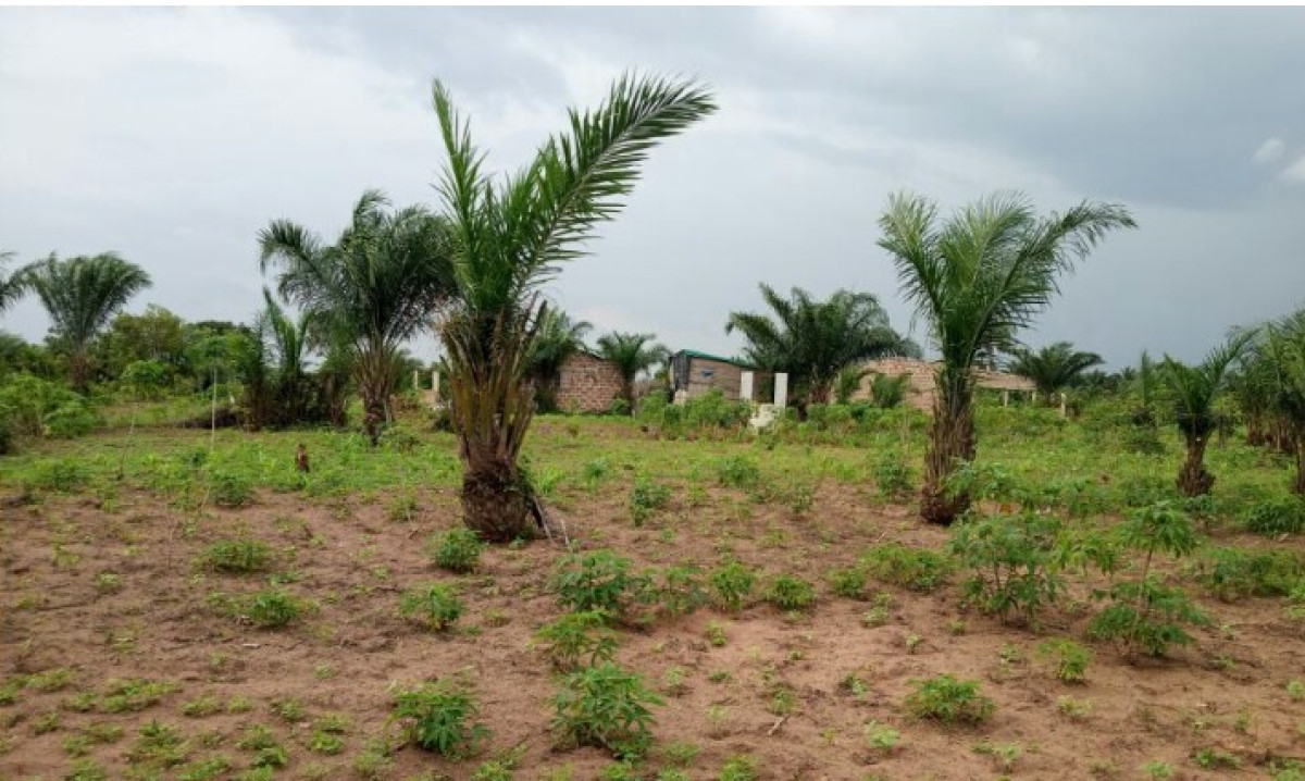 DÉLIVRANCE DE L&rsquo;ATTESTATION DE RECASEMENT AU BÉNIN : Le gouvernement fixe de nouvelles conditions et procédure