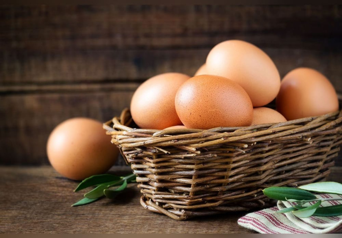SEGBANA :  Des œufs impropres à la consommation détruits