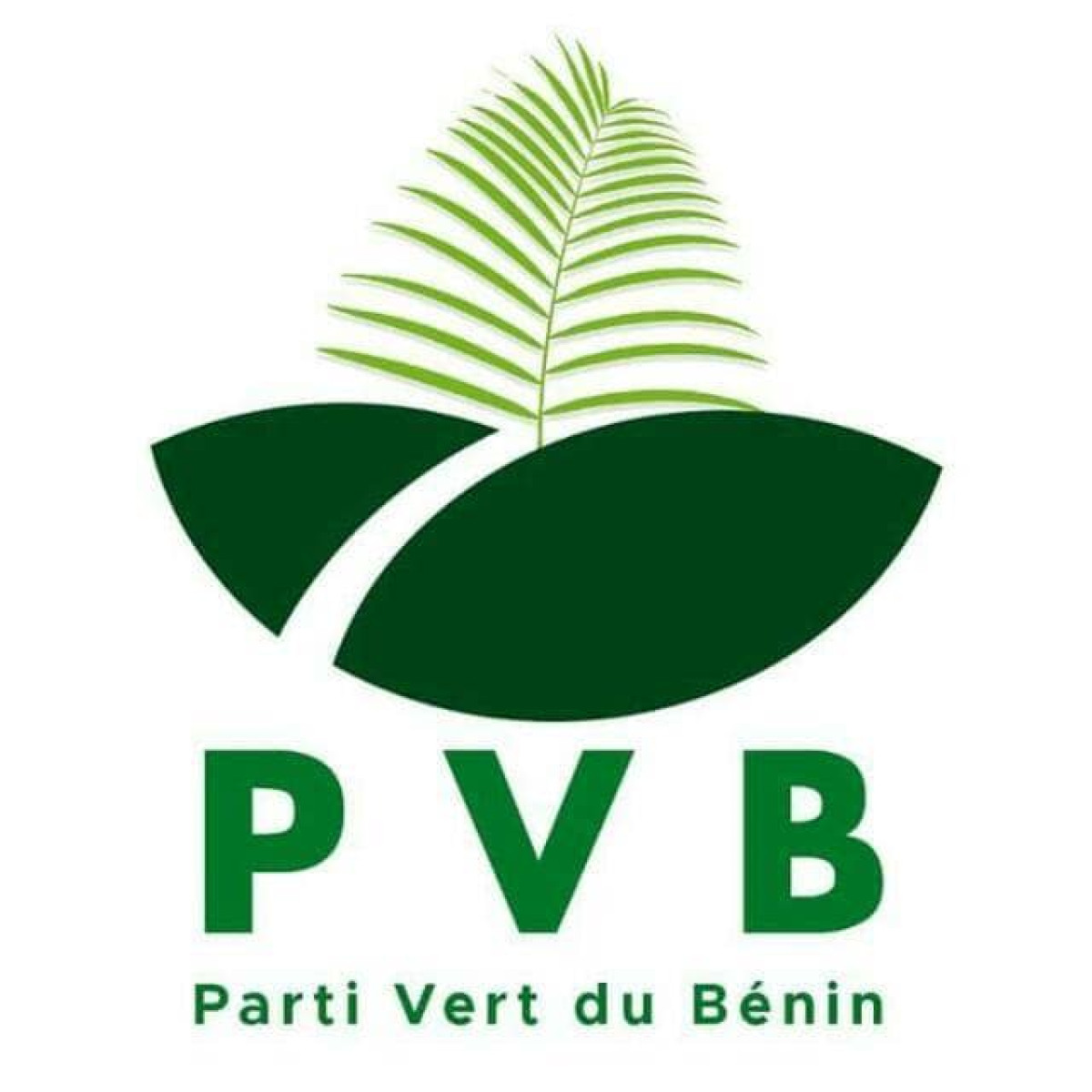 HAUSSE DES COUTS DE COMMUNICATION AU BENIN : Le Pvb s’insurge et dénonce une mesure inique