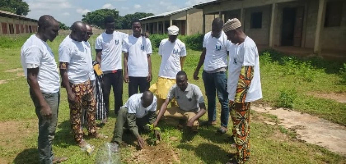 Lutte contre les affres des changements climatiques: l'Ong "Homme et développement" met en terre des plants à Banikoara