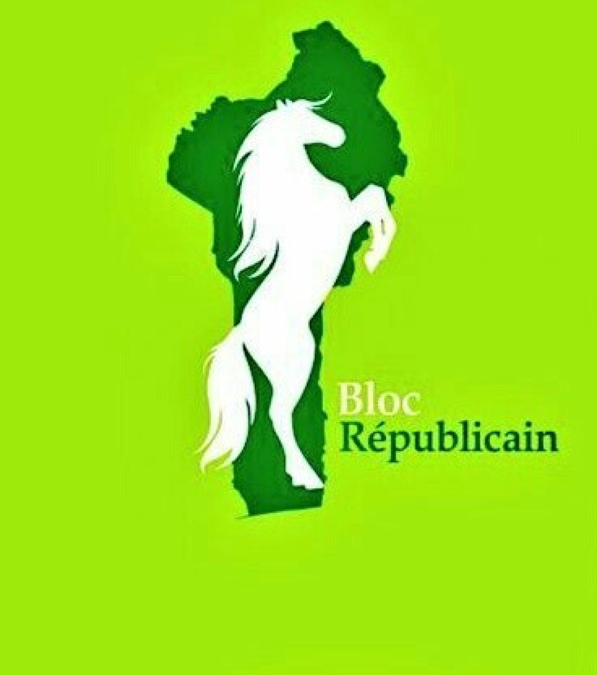 LÉGISLATIVES DE 2023 AU BÉNIN : L’Ojbr témoigne sa gratitude et réaffirme son engagement