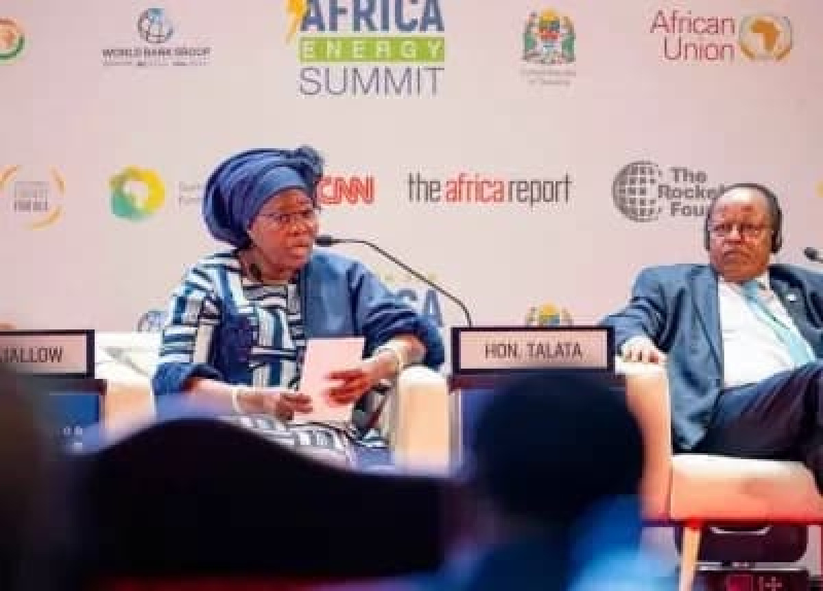 Sommet africain sur l&rsquo;énergie en tanzanie: les efforts du bénin salués 