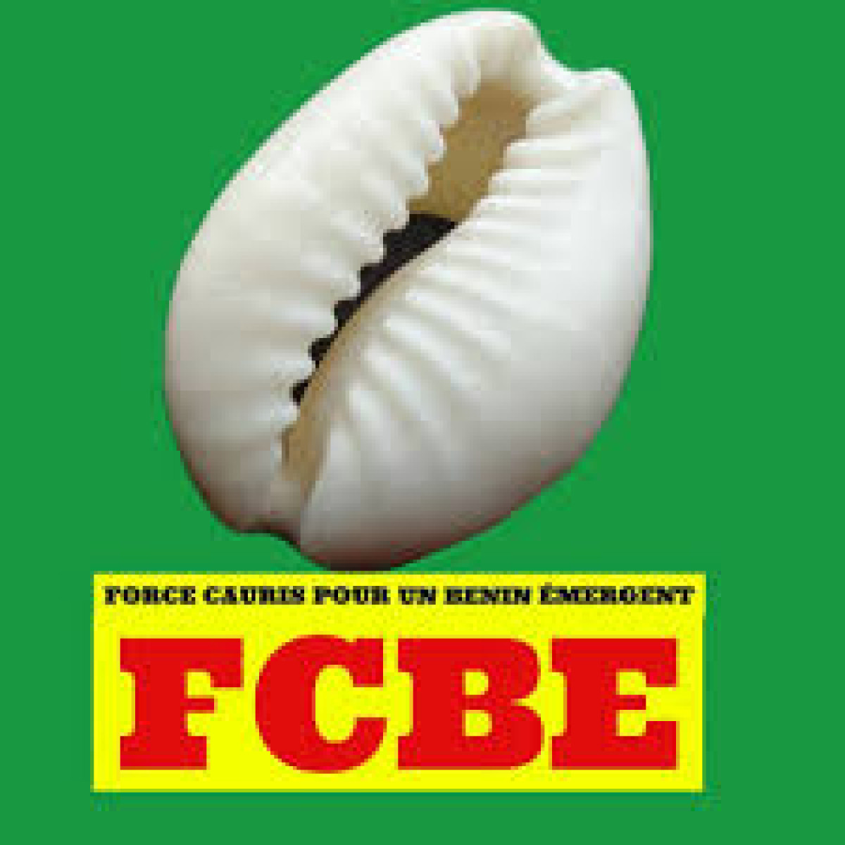 PARTI FORCE CAURIS POUR UN BENIN EMERGENT : La coordination de la 1ère Ce installée