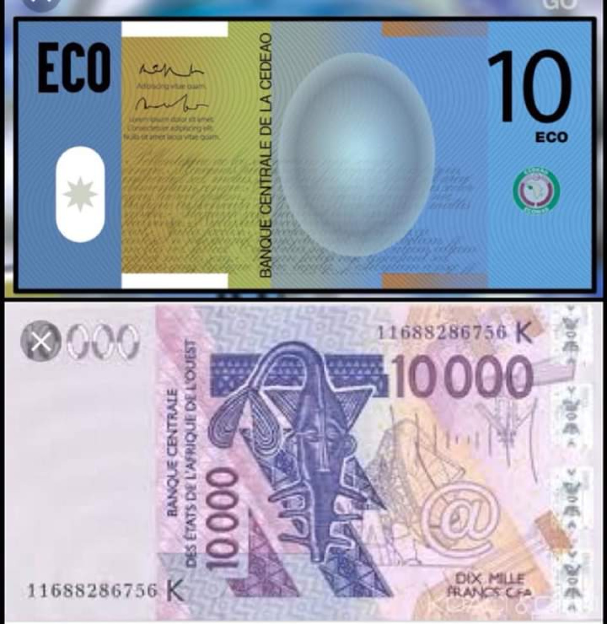 SOUVERAINETE MONETAIRE EN AFRIQUE : L’Eco et le Franc Cfa, même père même mère !