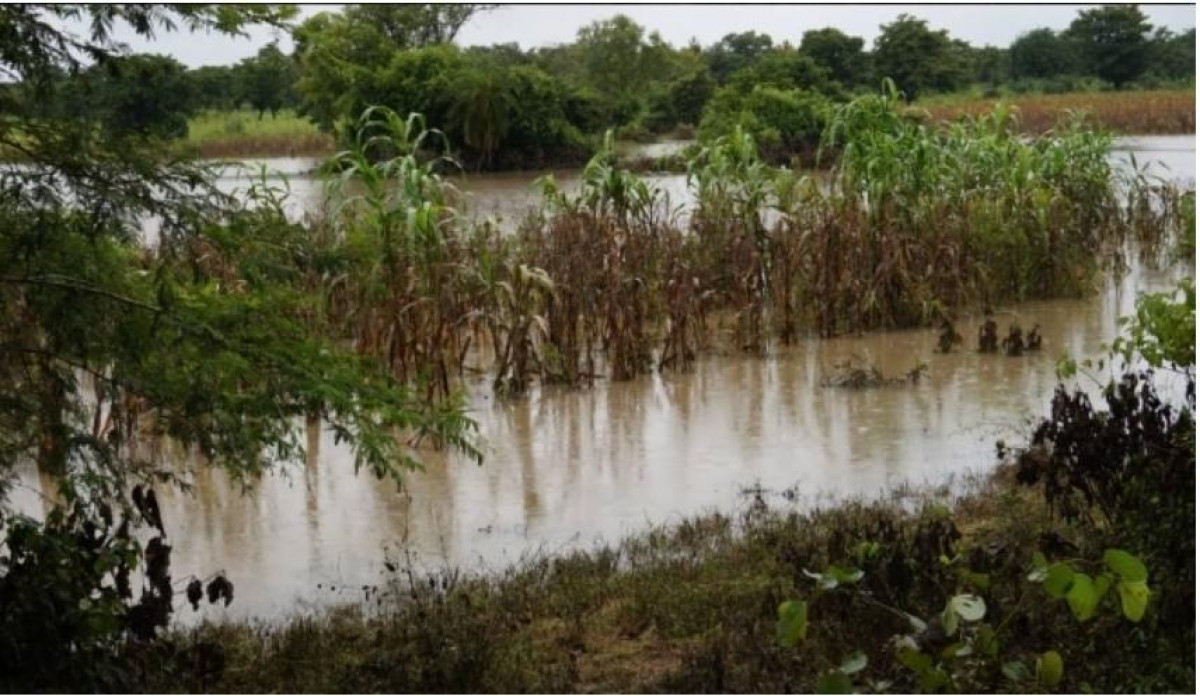 INONDATION À DJOUGOU :  Plusieurs hectares de cultures dans l’eau