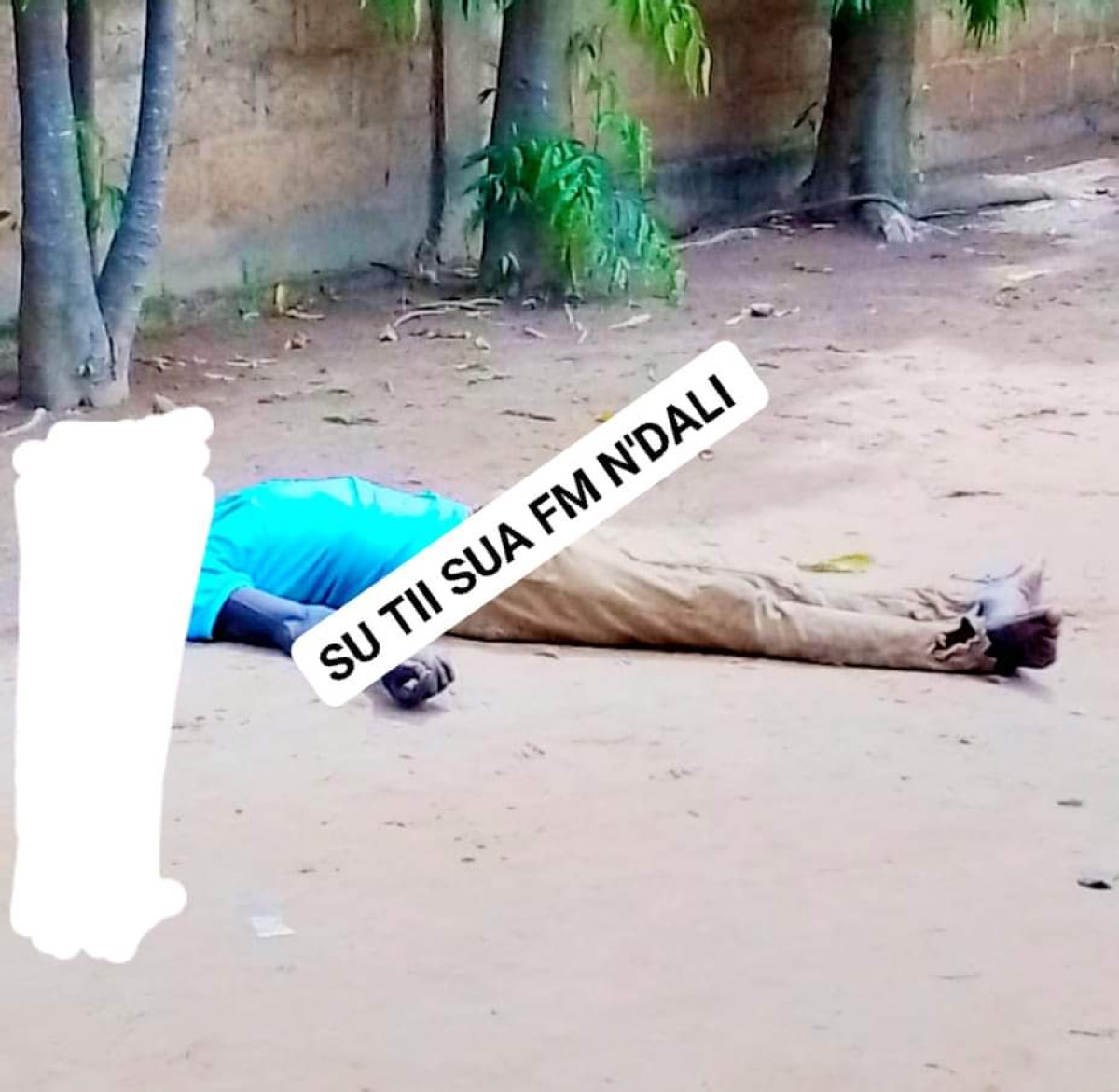 N’DALI   :   Un homme meurt électrocuté sur un arbre