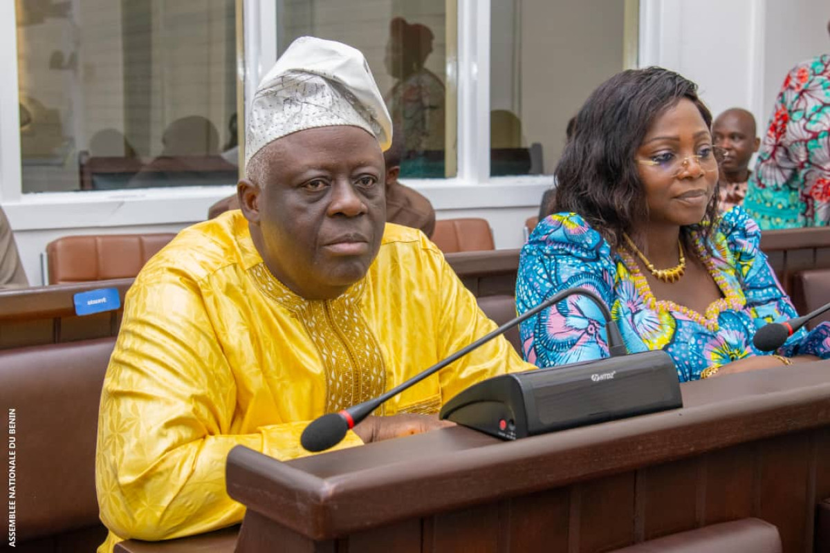 Assemblée nationale: le parrainage expliqué aux députés
