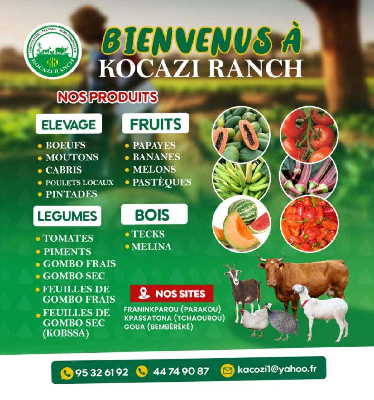 KOCAZI RANCH : L’adresse idéale pour les produits animaliers, maraîchères, agricoles et agroforestiers