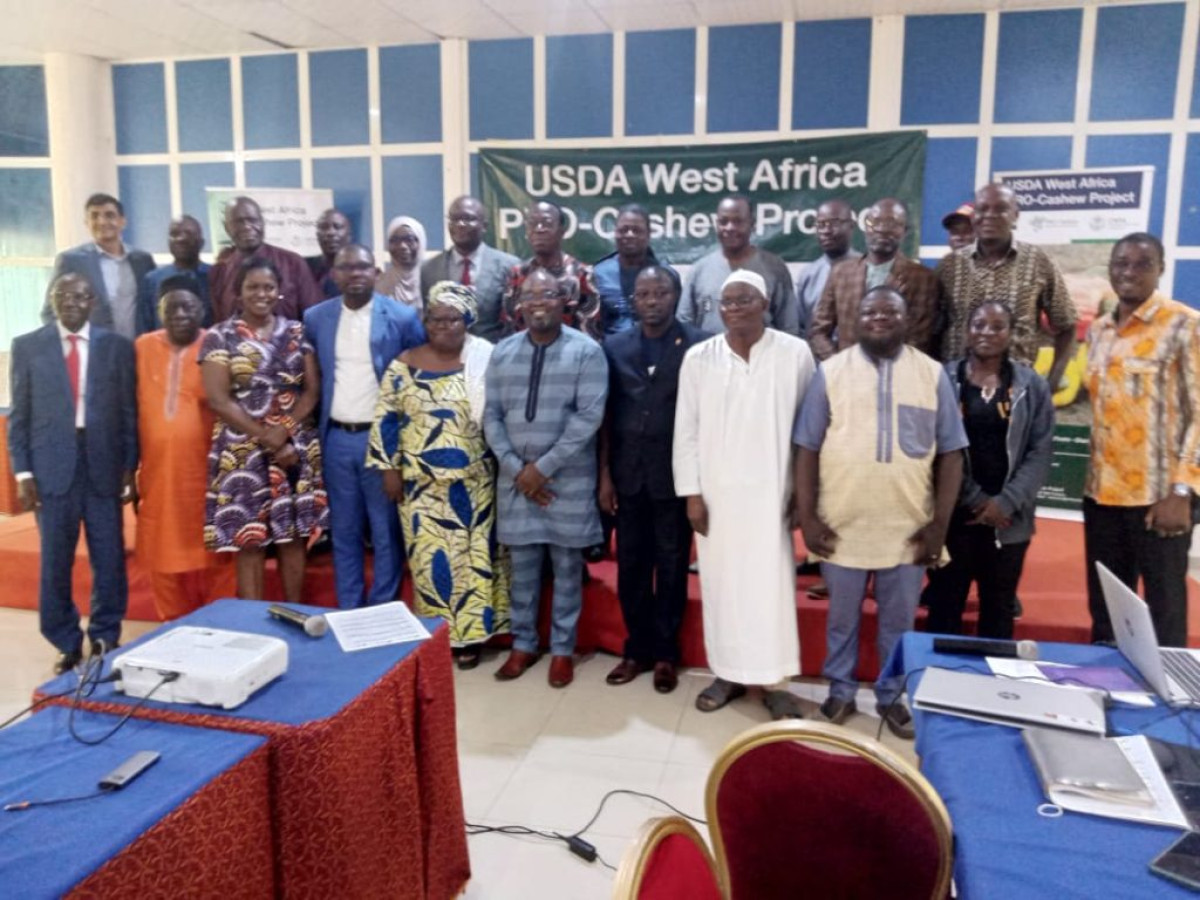 APRÈS LES ATELIERS RÉGIONAUX SUR LES POLITIQUES ET RÉGLEMENTATIONS DU SECTEUR DU CAJOU EN AFRIQUE DE L&rsquo;OUEST : Pro-Cashew en collaboration avec le Maep définissent les prochaines étapes avec les différents acteurs