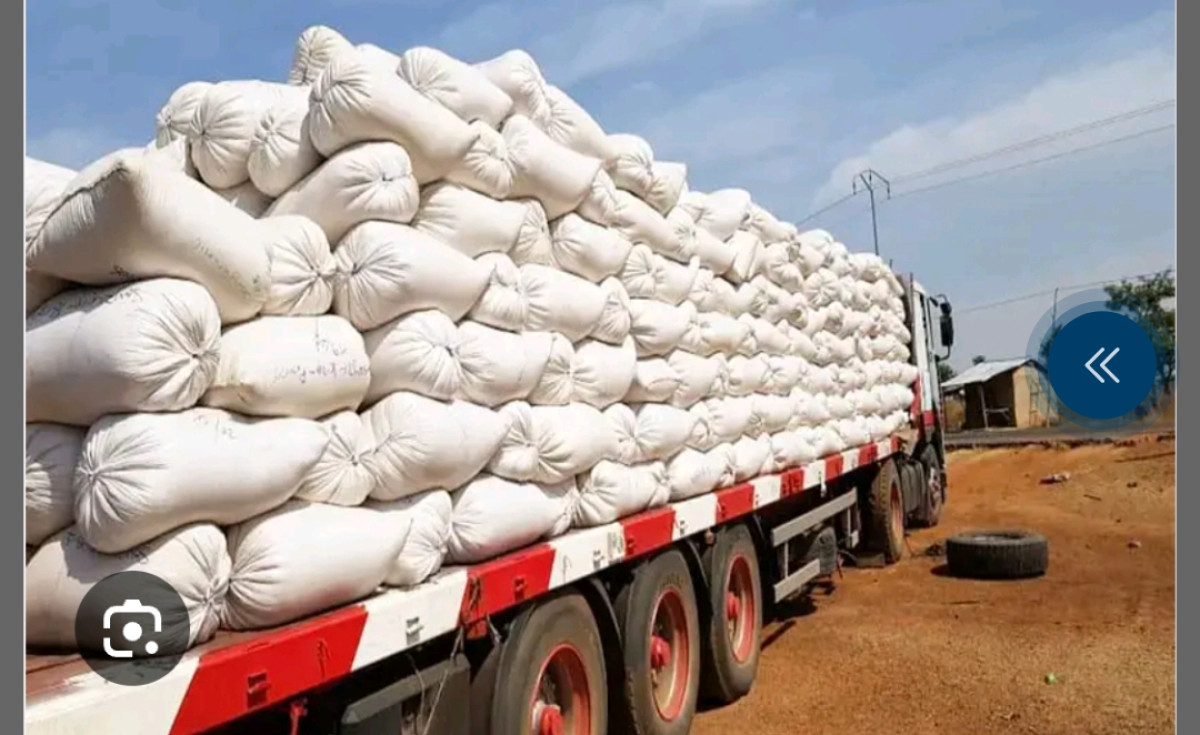 Guerre contre la sortie de certains produits du territoire national: le gouvernement justifie sa démarche 