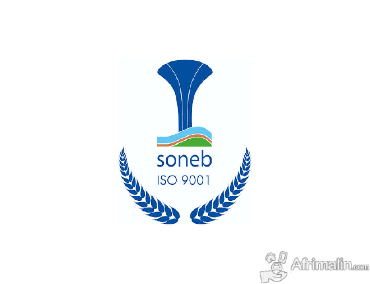 RECRUTEMENT A LA SOCIETE NATIONALE DES EAUX DU BENIN (SONEB) :  Voici les conditions à remplir