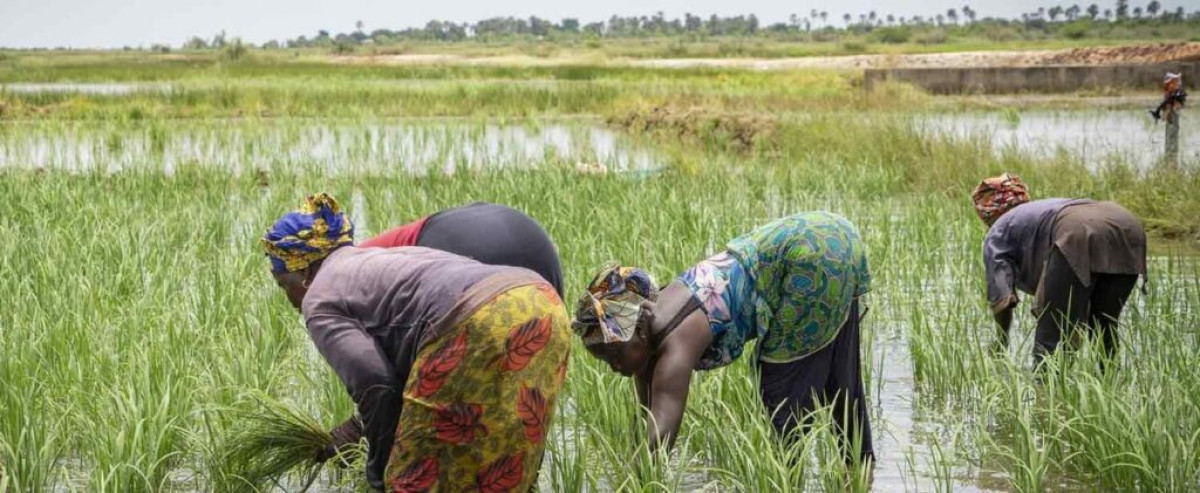Valorisation des réservoirs hydro-agricoles naturels au bénin: le gouvernement instruit la réalisation de plusieurs études 