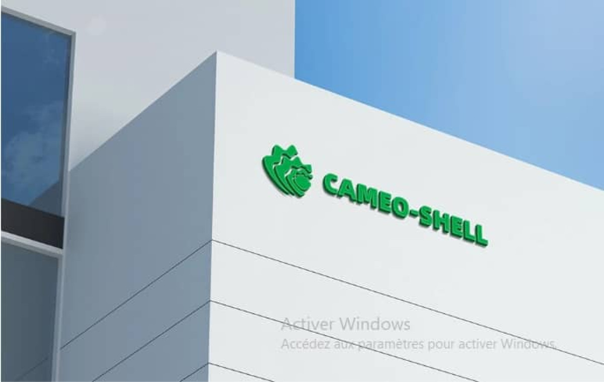 DU NOUVEAU DANS L&rsquo;AFFAIRE CAMEO SHELL : La Criet révèle la disparition de plus de 3 milliards