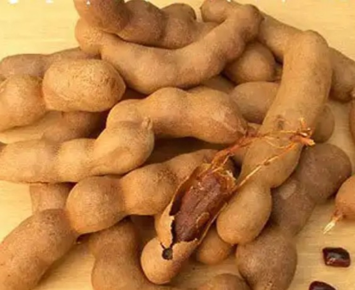 ASTUCES DES FRUITS : Voici 10 raisons de consommer le tamarin