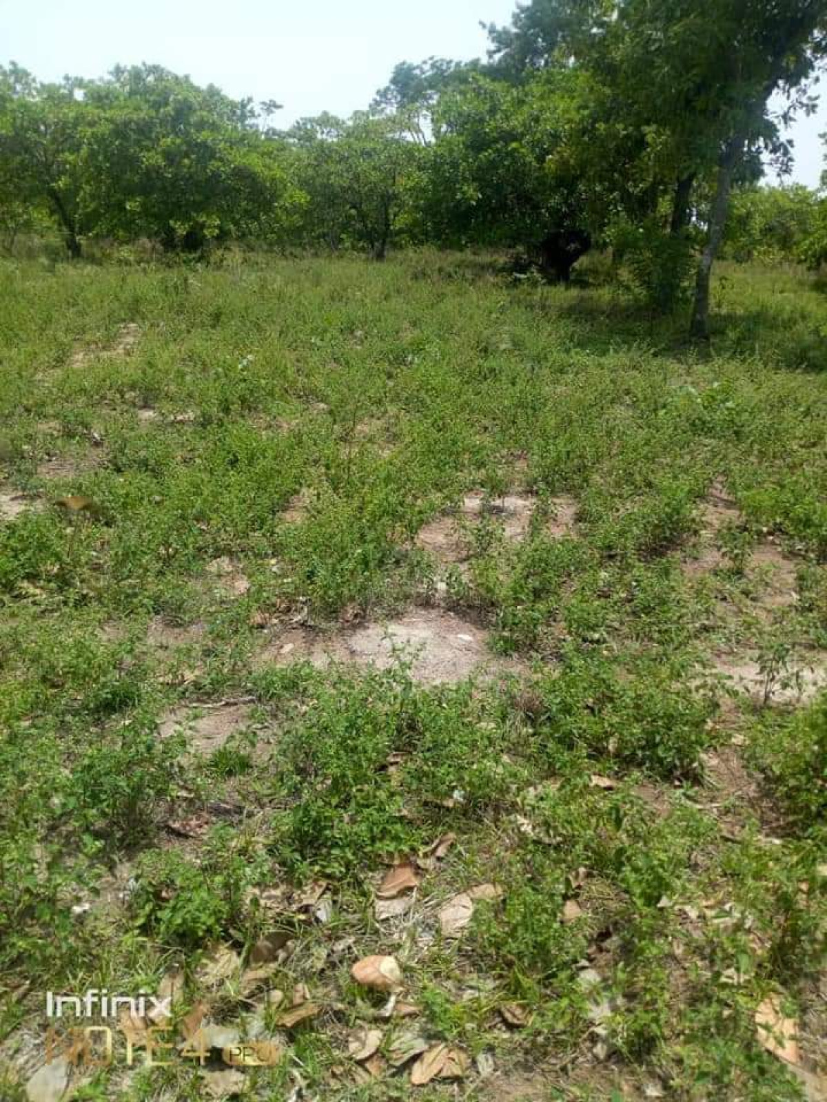 CONFLIT DOMANIAL À NIKKI : Plusieurs blessés graves