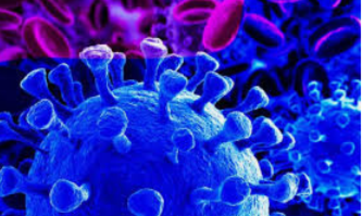 POUR MAUVAISE GESTION DE LA CRISE SANITAIRE LIÉE À LA COVID-19 : Une centaine de citoyens saisit l&rsquo;Assemblée nationale