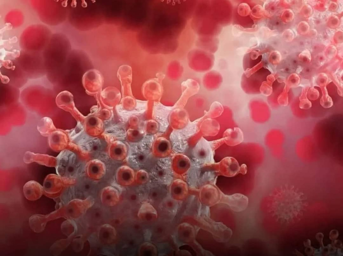 Nouvelle souche de Coronavirus identifiée en Chine: les béninois déjà résilients ?