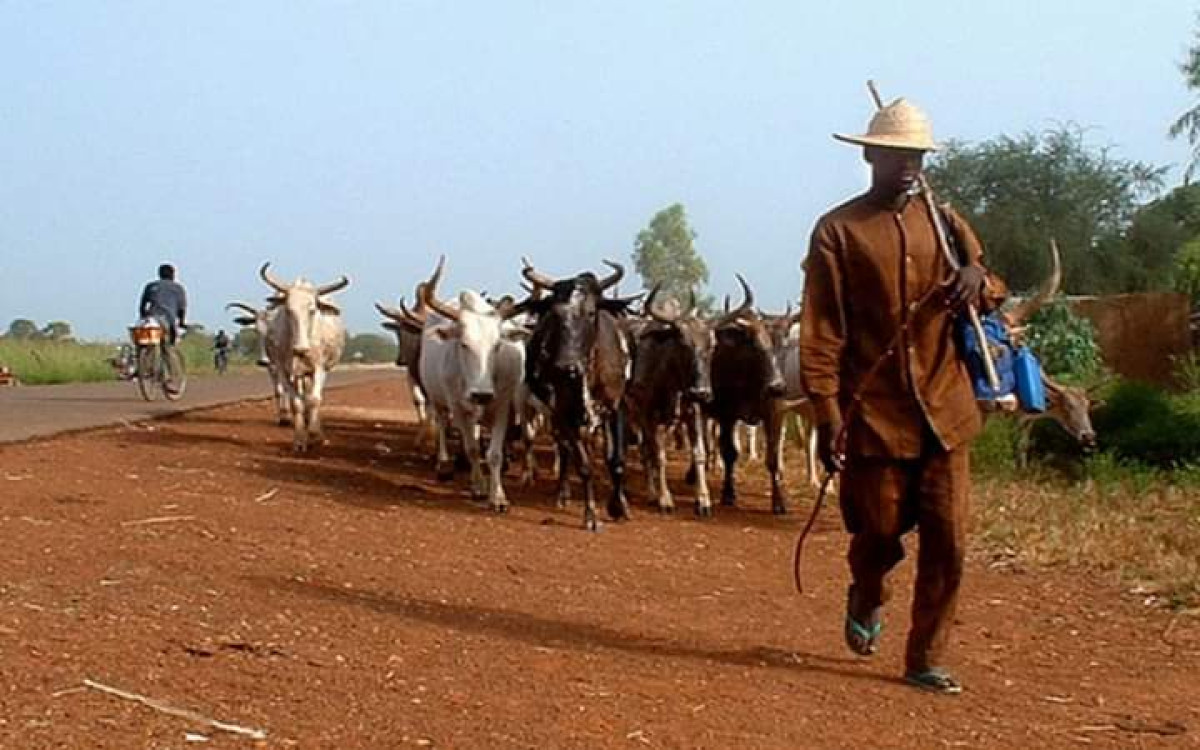 CAMPAGNE DE TRANSHUMANCE 2020-2021 A BEMBÉRÉKÉ : Le comité communal prépare le terrain pastoral