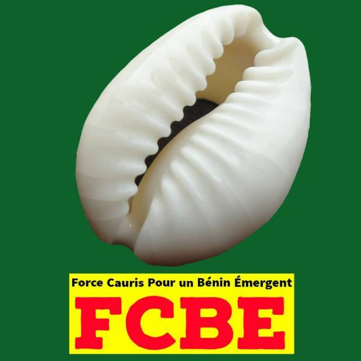 COMMUNE DE N&rsquo;DALI :  Sept conseillers communaux claquent la porte aux Fcbe