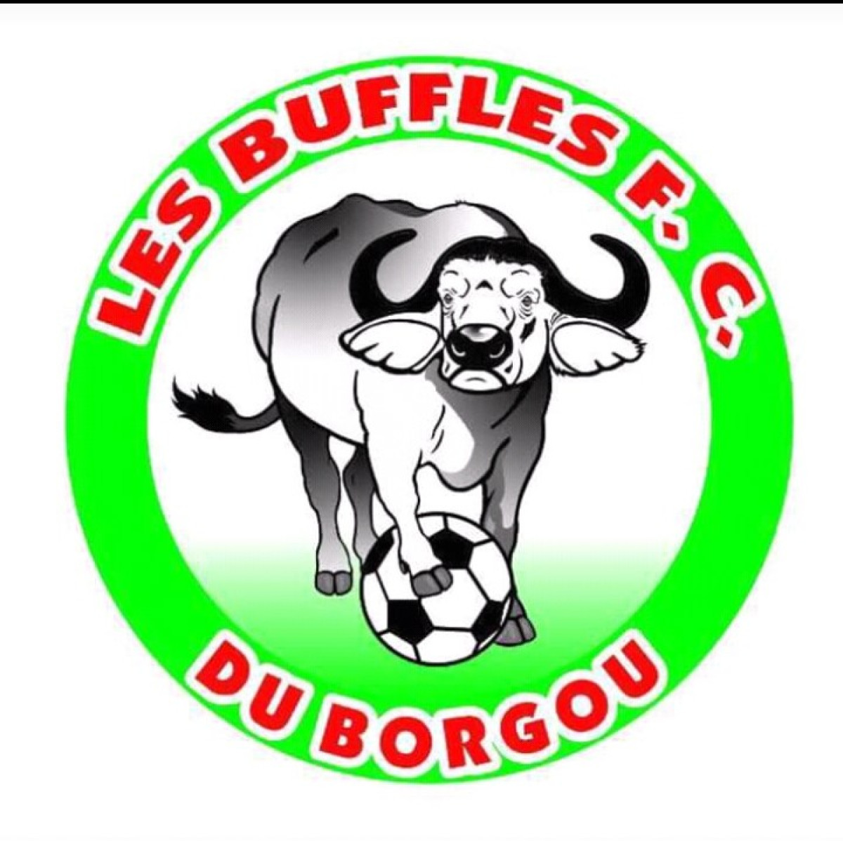 VITALOR LIGUE 1 ET 2 : Buffles et Réal, toujours invincibles  . Zazira en difficulté