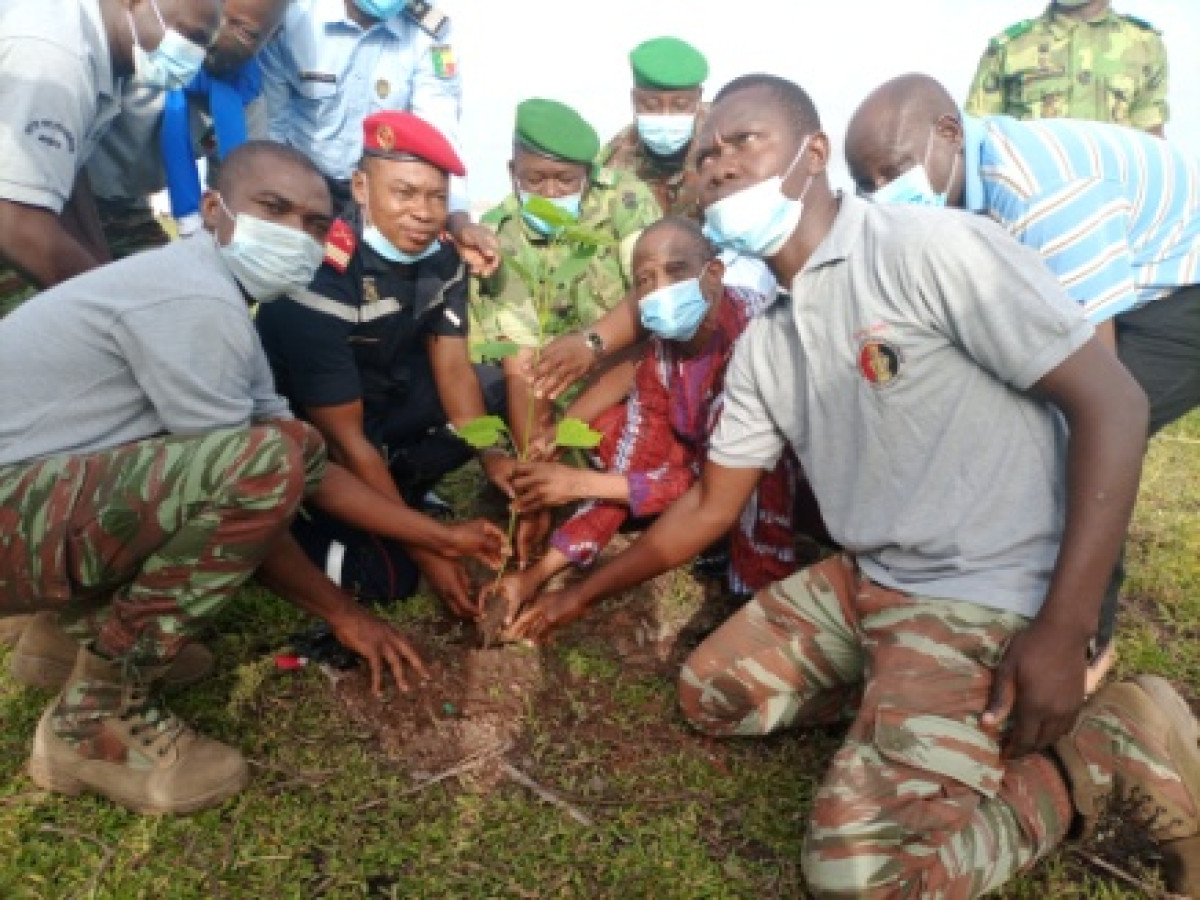 JOURNEE MONDIALE DE L’ENVIRONNEMENT  DANS LE BORGOU : 855 plants mis en terre dans le cadre du reboisement inter-forces