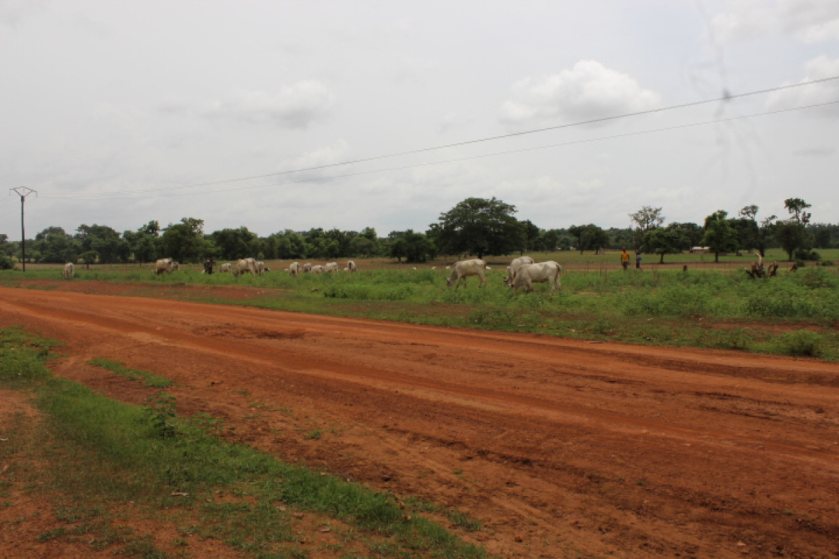 CREATION DES COULOIRS ET AIRES DE PATURAGE SUR L’AXE GOMPAROU-FOUNOUGO-KANDEROU : Le conseil communal réalise un vieux rêve des agro-éleveurs