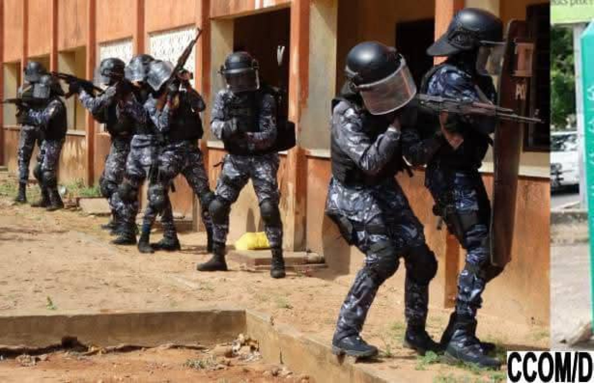 Malanville/Consommation des produits psychotropes: une dizaine d'individus arrêtés