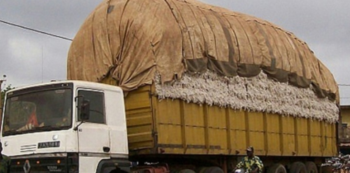 COMMUNE DE BANIKOARA : Un individu détourne 4 tonnes de coton graine