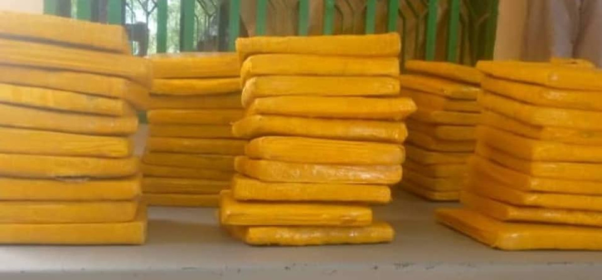 Commune de Malanville: plus de 300 plaquettes de chanvre indien saisies