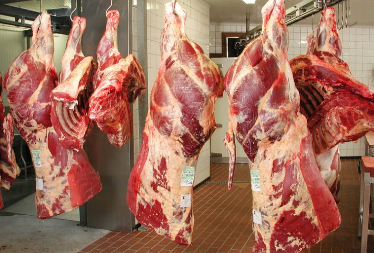CONSOMMATION DE LA VIANDE ROUGE