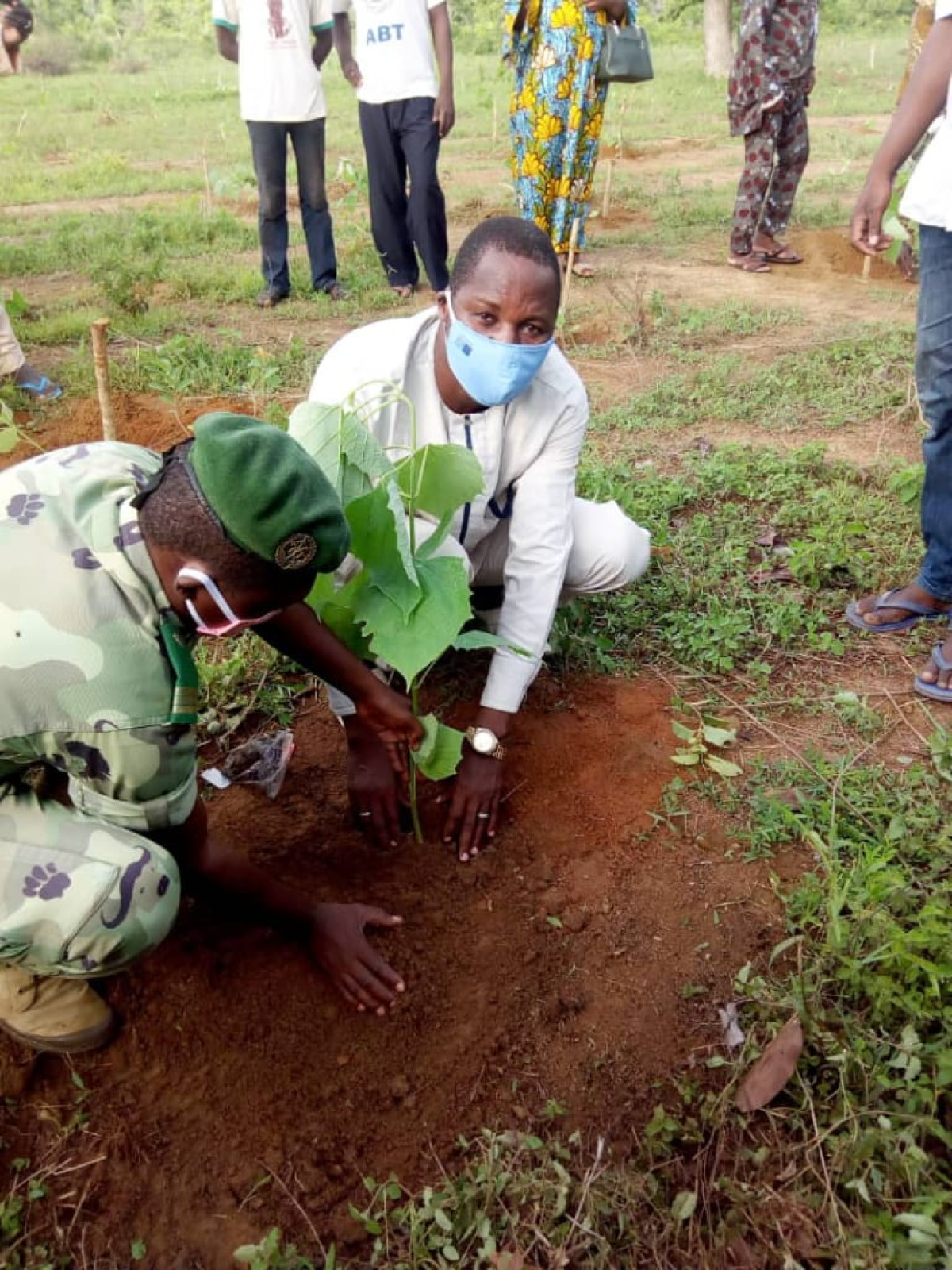 JOURNÉE DE L’ARBRE A NIKKI : 2 500 plants mis en terre
