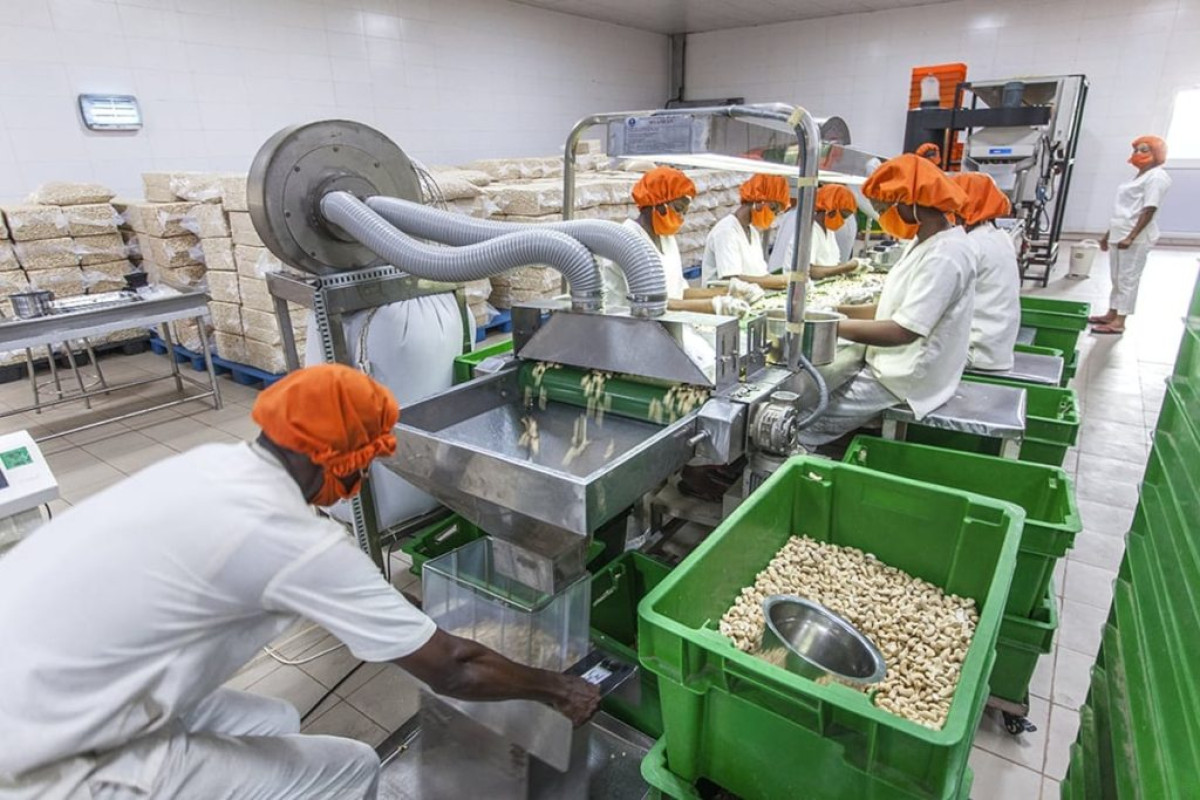 BÉNIN/IMPLANTATION D&rsquo;UNE USINE DE TRANSFORMATION DE PRODUITS AGRICOLES :  Le gouvernement autorise la signature de l&rsquo;accord-cadre