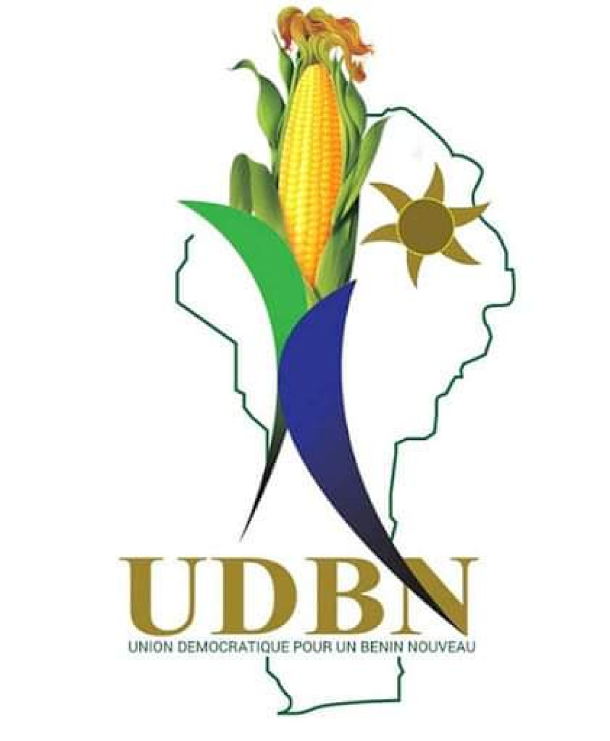 VIE DES PARTIS POLITIQUES AU BÉNIN : Plusieurs membres de l&rsquo;Udbn de Parakou démissionnent