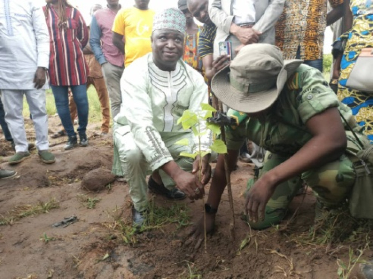 JOURNÉE NATIONALE DE L&rsquo;ARBRE À PARAKOU : La mairie met 2500 plants en terre