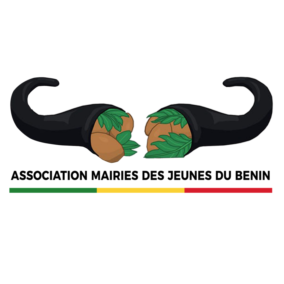 CARNET NOIR : Le Maire des Jeunes de Bassila n&rsquo;est plus