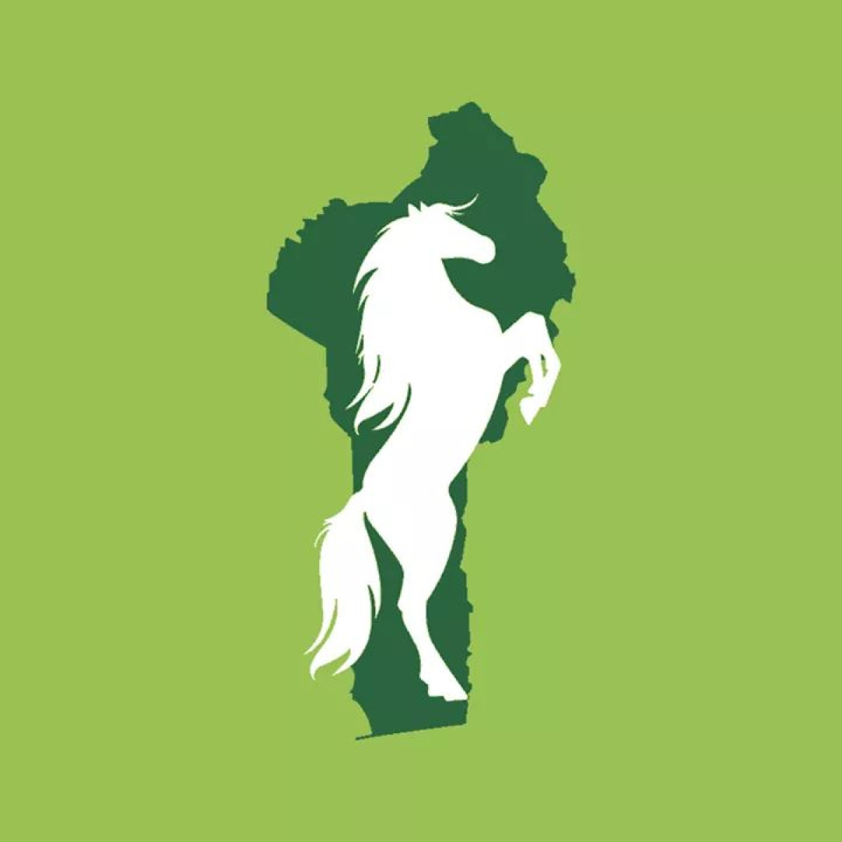 COMMUNALES DU 17 MAI PROCHAIN : La cité impériale adopte le cheval cabré  .Voici les raisons