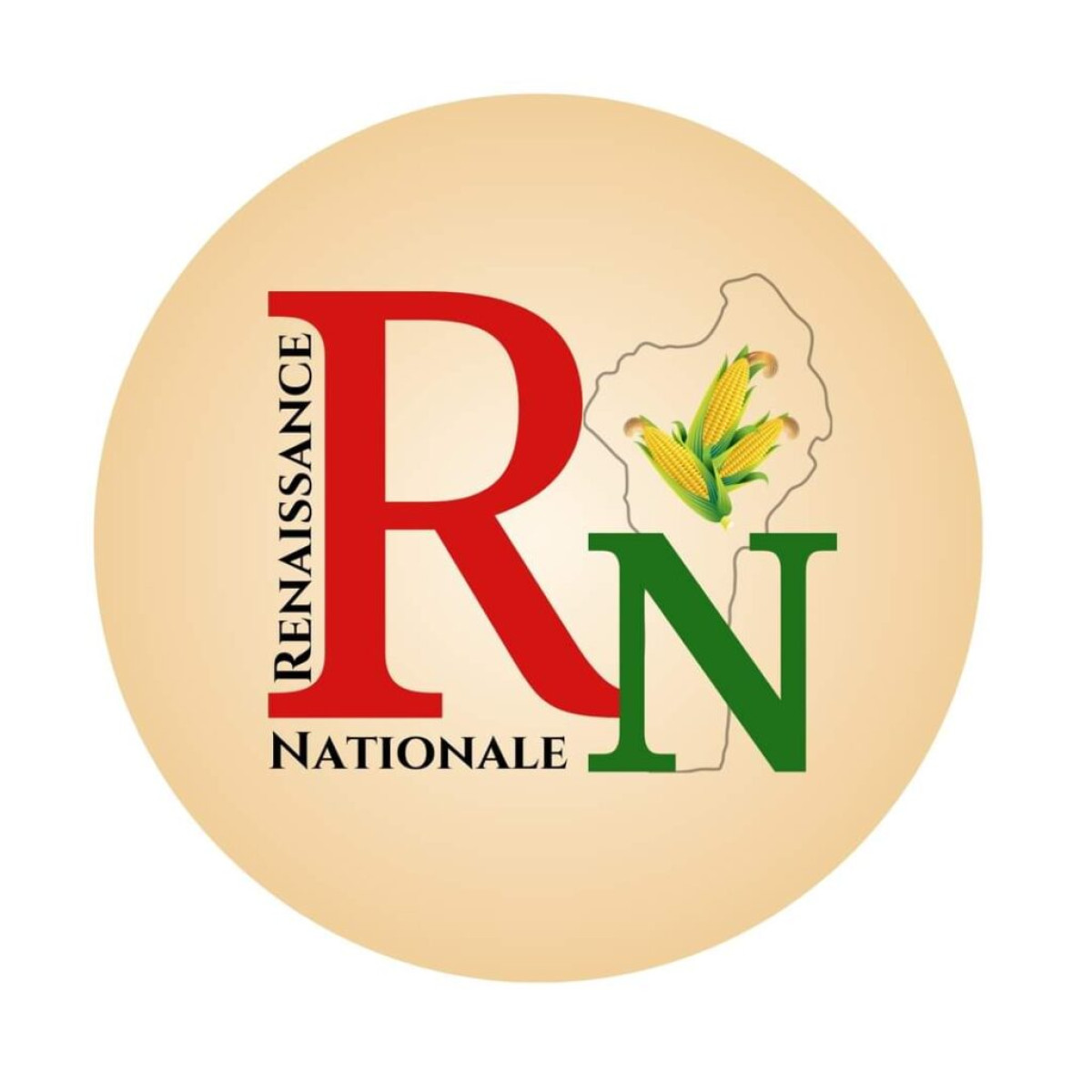 OPPOSITION CONTRE LA RÉVISION DE LA CONSTITUTION BÉNINOISE :  Mohamed Akintola justifie la position du parti Rn