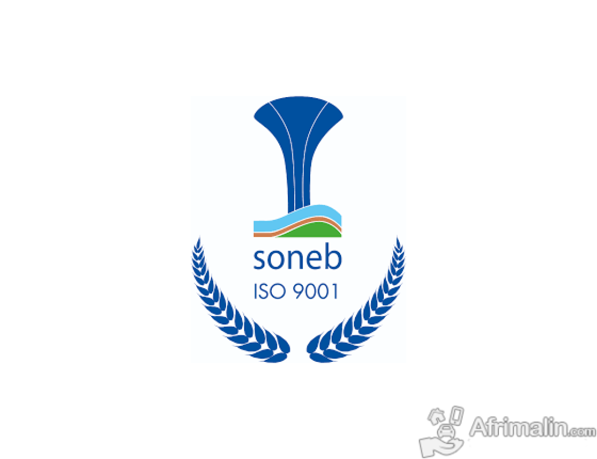RECRUTEMENT A LA SOCIETE NATIONALE DES EAUX DU BENIN (SONEB) : Voici les conditions à remplir